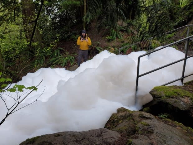 Foam pillows up to eight feet high filled a creek in Abbotsford, B.C., Friday, after rain washed laundry detergent from the rooftops of a nearby townhome complex into the water. (Submitted by Tom Ulanowski - image credit)