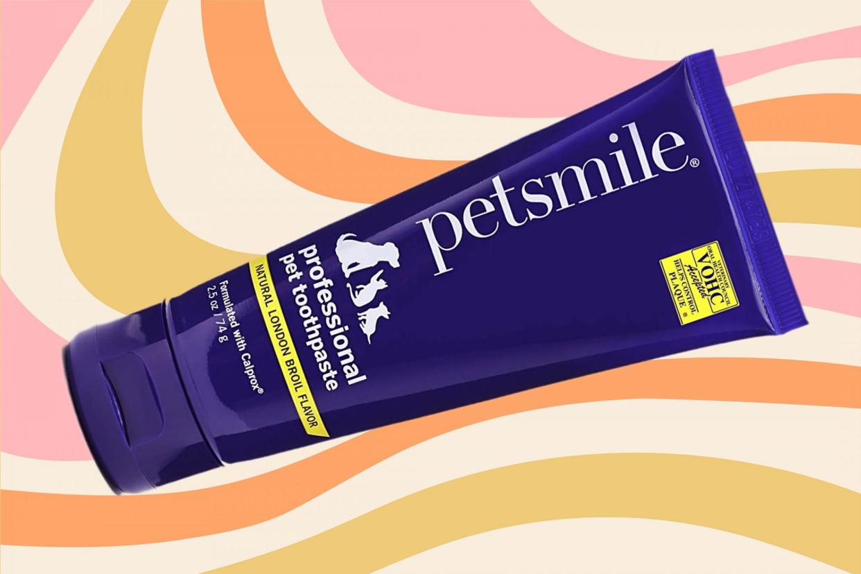 petsmile professional pet toothpaste