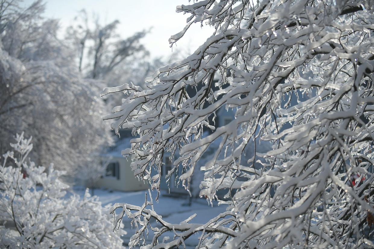 Snowy trees in Peoria can be seen in this Journal Star file photo. National Weather Service projections for the winter of 2021-22 include higher-than-usual temperatures, meaning that while there might be less snow accumulation, there could also be more ice or freezing rain. LESLIE RENKEN/JOURNAL STAR