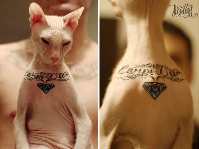 Aquí el tatuador exhibe uno de los tantos tatuajes de su gato Demon. Foto:Facebook.com/pg/sweetbonestattoo