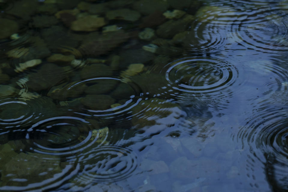 In einem US-Naturschutzgebiet wurde ein seltsames Tier im Wasser gefunden. (Symbolbild: Getty Images)