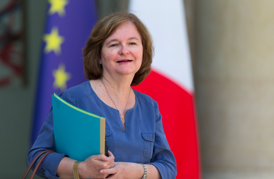 <em>France’s European affairs minister Nathalie Loiseau said that the EU’s door would remain open to the UK (Rex)</em>