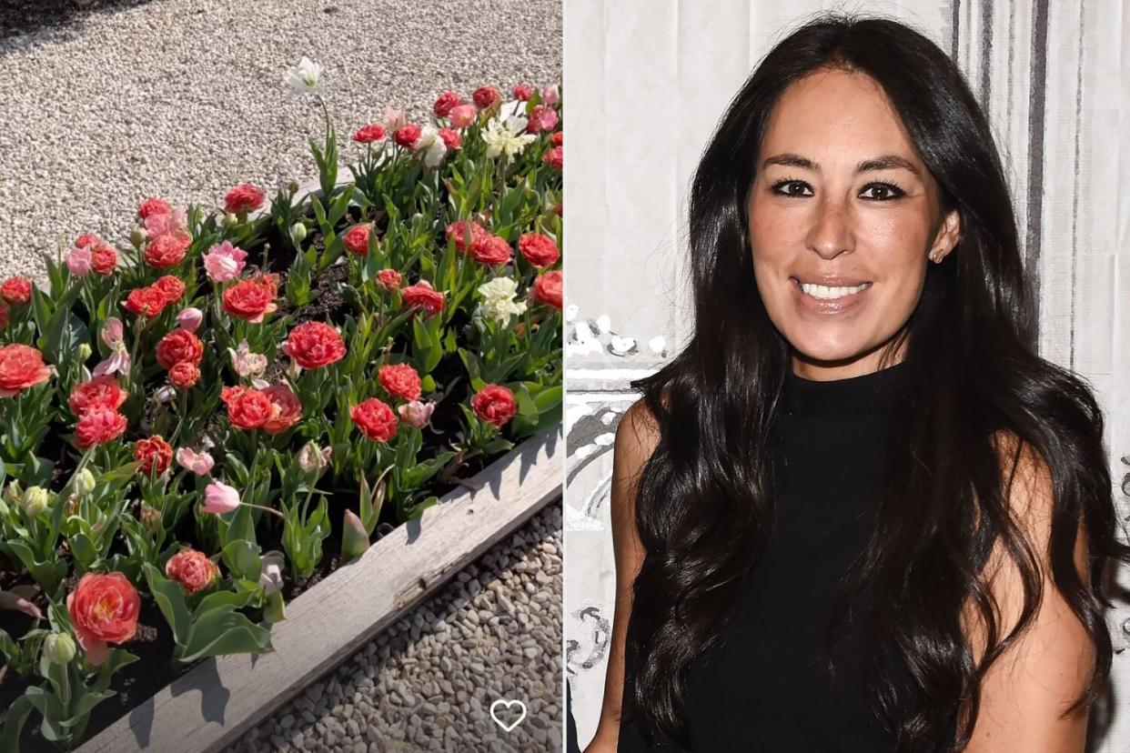 Joanna Gaines Gives a Tour of Her Lush Garden: ‘Everything Had Bloomed’