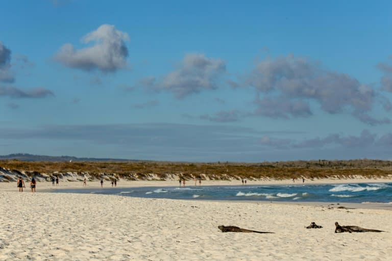 Iguanas sunbathe near tourists in the Galapagos, which welcome about 245,000 visitors a year