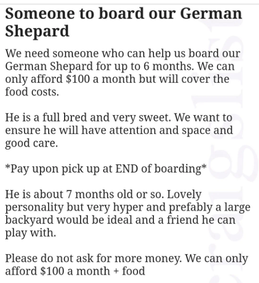 A person asks for someone to board their hyperactive dog for six months, and they're offering $100 a month plus the cost of food