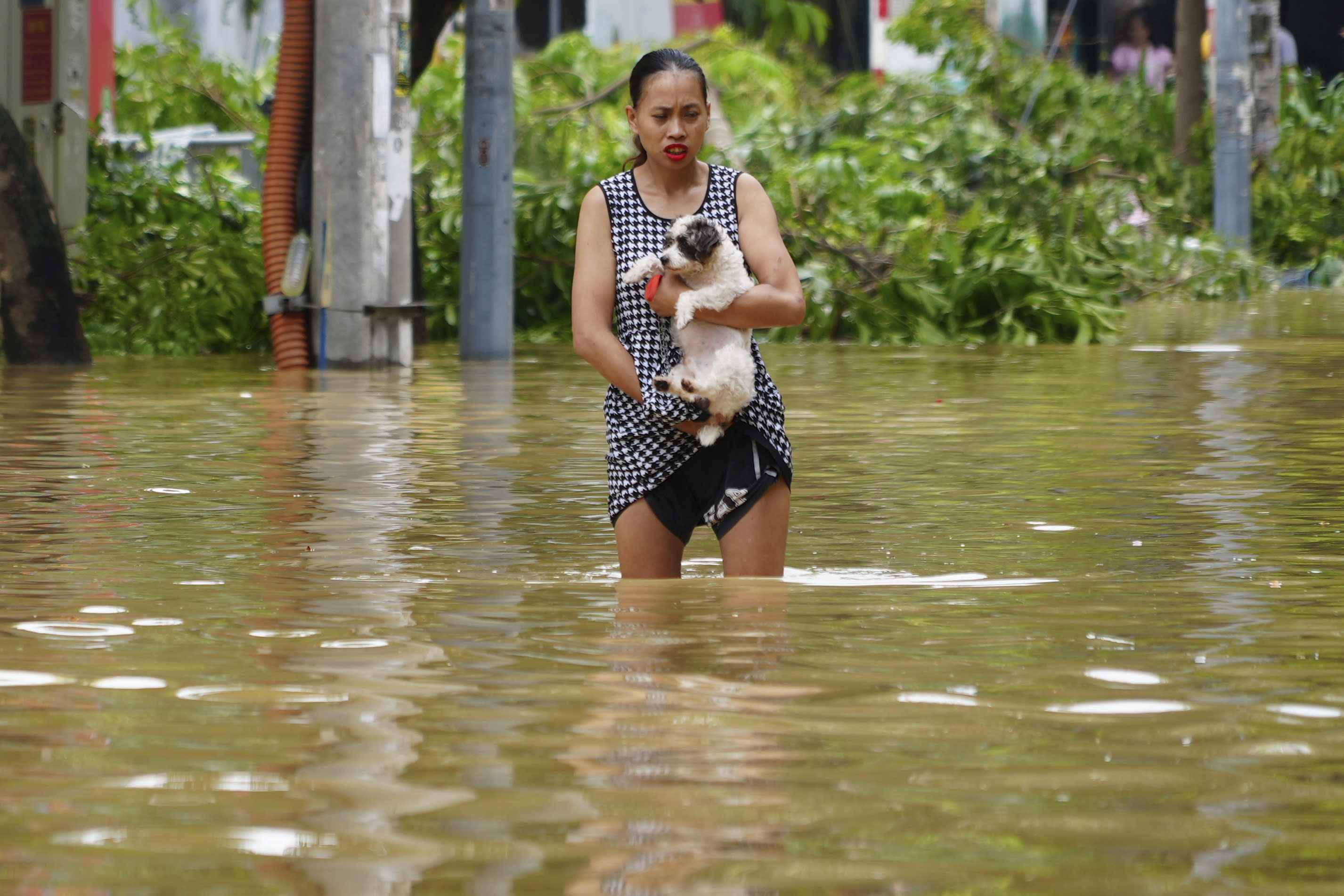 A woman and her dog wade through a flooded street after Typhoon Yagi, in Hanoi, Vietnam, Thursday, September 12, 2024. (Hau Dinh/AP)