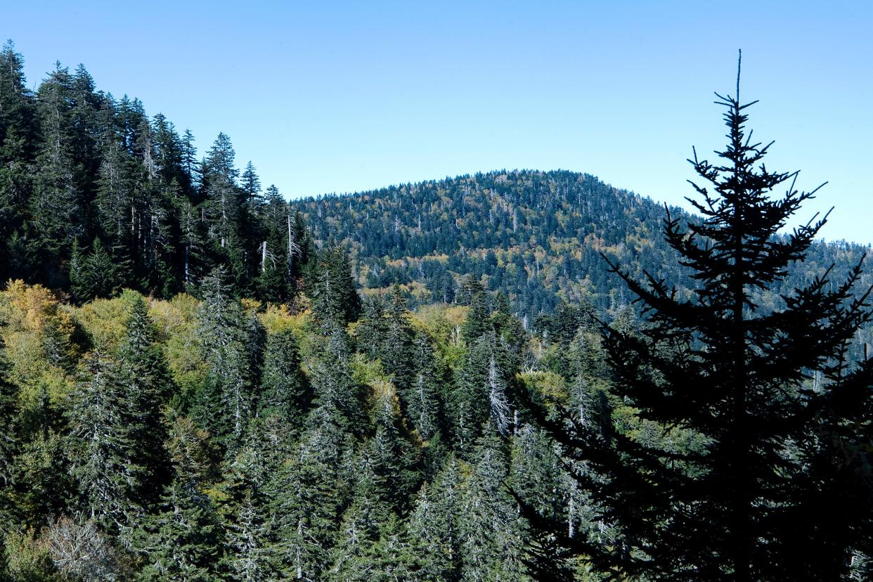 A 23-year-old Tennessee man was found dead Aug. 5 in the Balsam Mountain area of Great Smoky Mountains National Park in North Carolina.