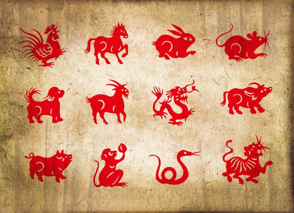 Animal house: the dozen members of the Chinese zodiac: Getty/iStock