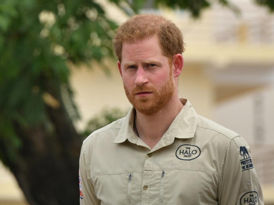 <p>Prince Harry in Angola</p> (PA)