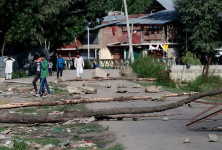A neighbourhood street is blocked with tree branches by Kashmiri protesters during restrictions after the scrapping of the special constitutional status for Kashmir by the government, in Srinagar