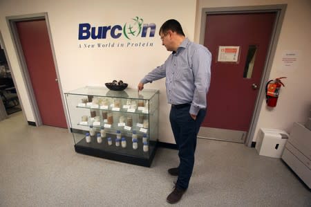 Martin Schweizer at Burcon's alternative meats protein lab in Winnipeg