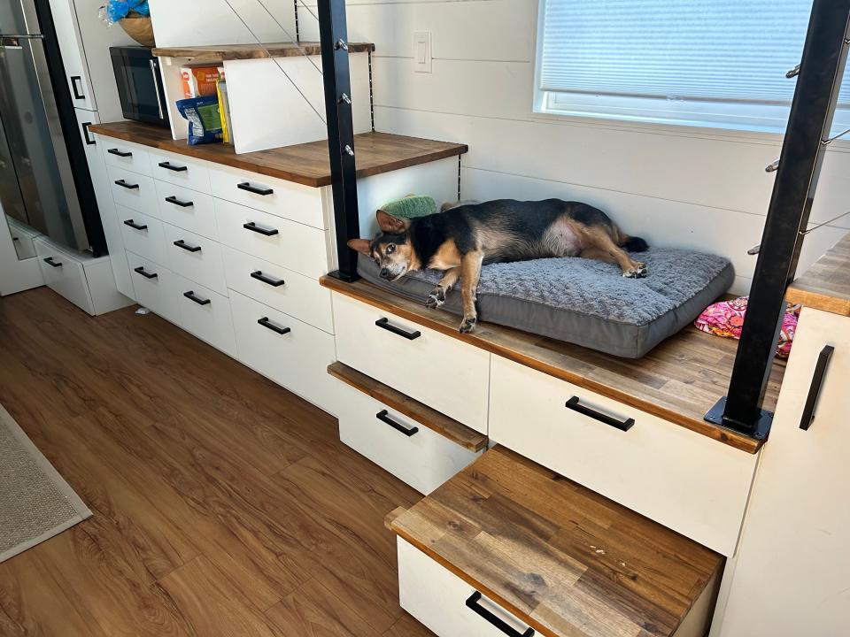 dog bed in storage area