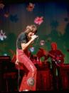 <p>David Cassidy: His life in photos</p>