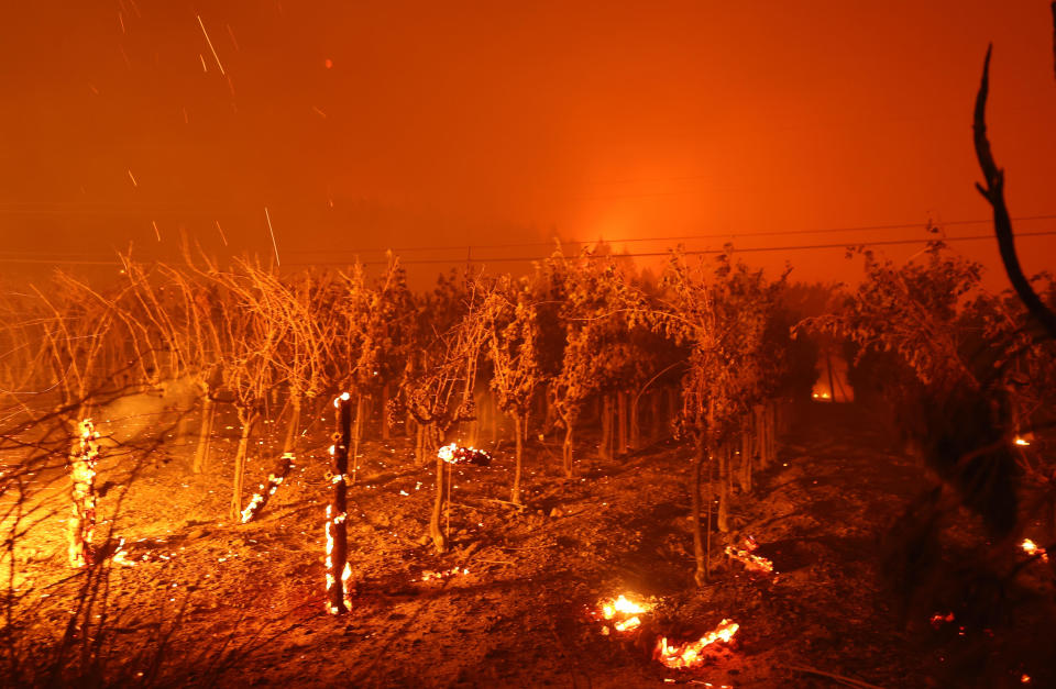 Grapevines at Chateau Boswell Winery burn as the Glass Fire moves through the area on September 27, 2020, in St. Helena, California. / Credit: Justin Sullivan/Getty