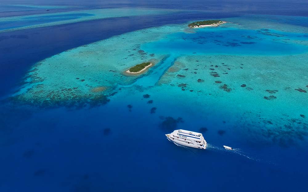 Maldivian water could be just what's needed after two lockdowns in 2020 - NATURE TREK