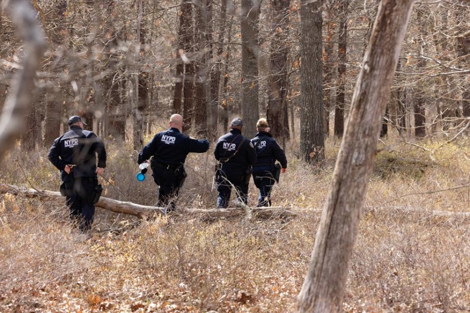 Police have been searching woods near Manorville, Long Island, for three days looking for bodies — with a possible link to the Gilgo Beach murders. Dennis A. Clark