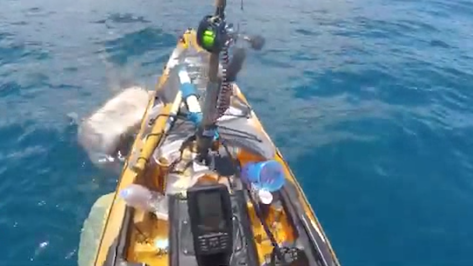 A screenshot from a GoPro video shows a shark ram into a man's kayak Friday, May 12, 2023 off the coast of Hawaii.