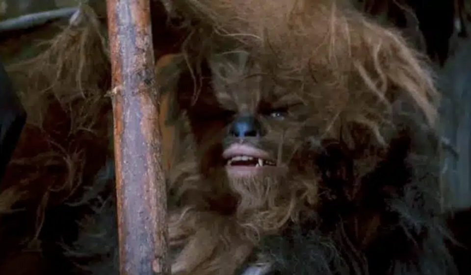 Gary Friedkin played an Ewok in ‘Return of the Jedi’ (Lucasfilm)