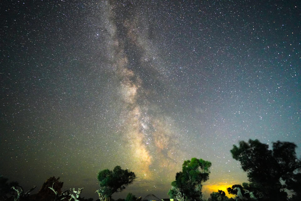 Perseid meteor shower is observed above Euphrates poplars in Yiwu County, Hami City, Xinjiang Uygur, China.