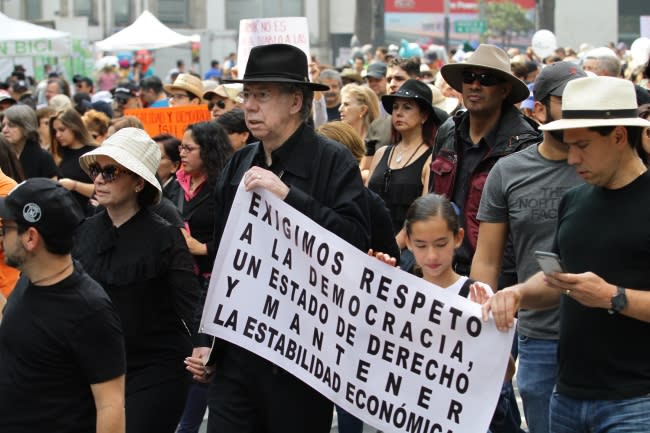 FOTOS | Así fue la 'Marcha Fifí' contra la consulta de López Obrador