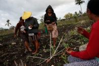 The Wider Image: As crops fail, Indonesia's Sumba seeks lifeline in weaving, fishing