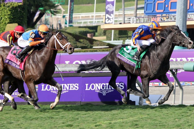 Auguste Rodin, ridden by Ryan Moore, wins the Breeders Cup Turf during the 40th running of the Breeders' Cup Championships at Santa Anita Park in Arcadia, Calif., on Saturday. Photo by Mark Abraham/UPI