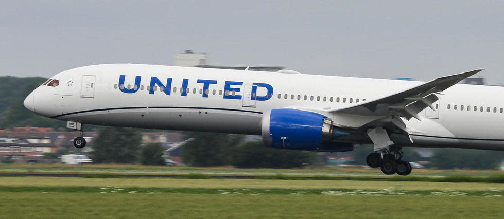 Il n’est pas précisé si le caractère factice de l'arme était reconnaissable sur la photo envoyée aux passagers d'un vol d'United Airlines (photo d'illustration).
