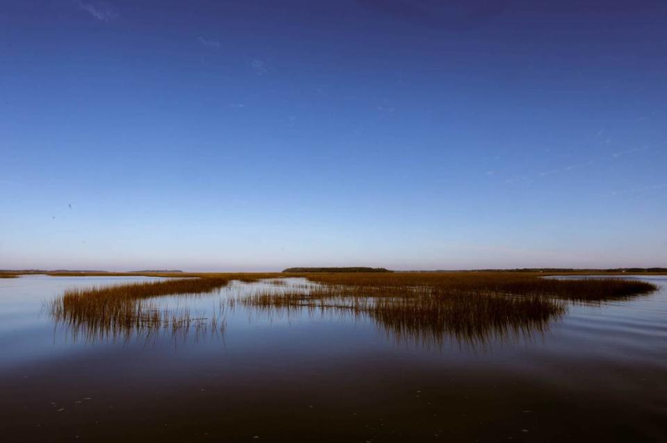 Horseshoe crab harvesters can collect crabs from most places in the ACE Basin, like North Fenwick Island, pictured here. Only Otter Island, Ashe Island, Beet Island, Warren Island and Big Island are listed as off-limits on harvesting permits.