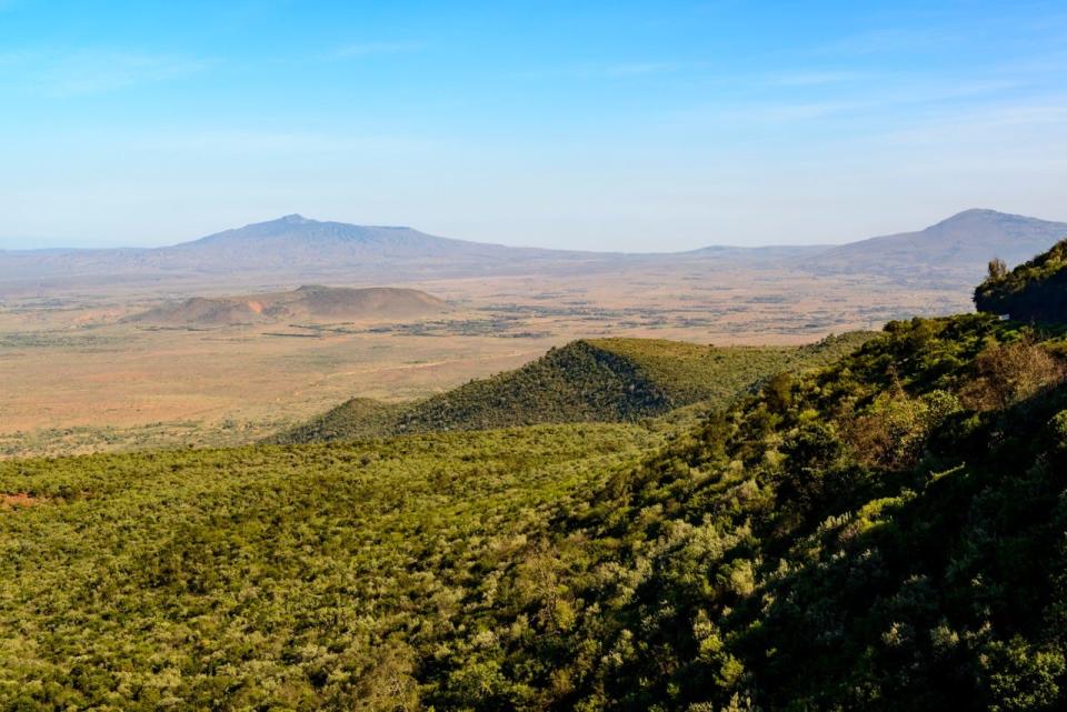 Den vorgeschlagenen Standort des Museums im Großen Afrikanischen Grabenbruch in Kenia empfand man nicht mehr als geeignet. - Copyright: Shutterstock/Roger de la Harpe