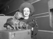 <p>Actress Joan Crawford is seen arriving in style as she disembarks the train in New York City. Crawford's pair of Dachshunds, Stinky and Poopshin, joined her on the journey. </p>