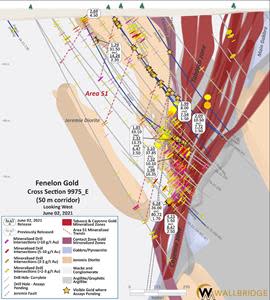 Fenelon Gold, Cross Section 9975_E