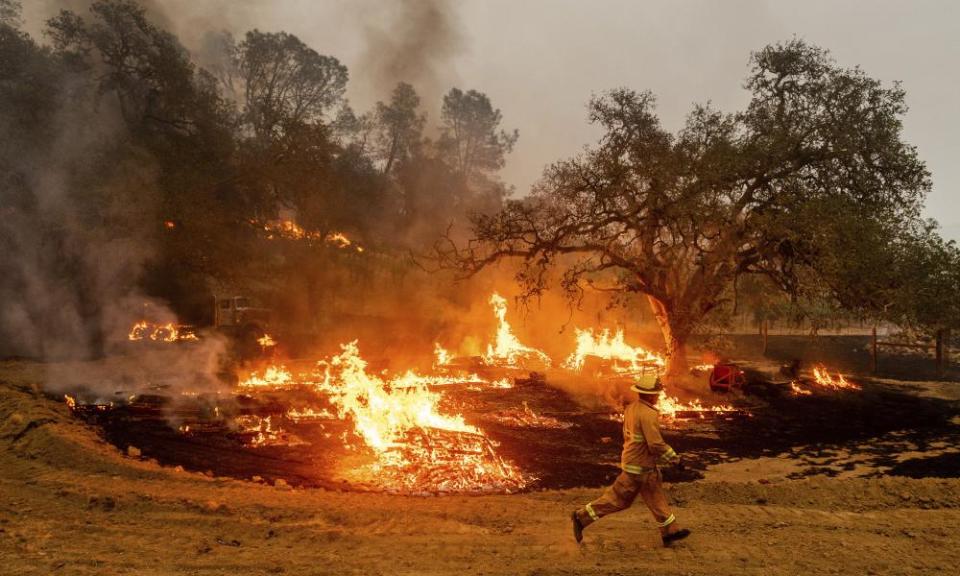 <span>Photograph: Noah Berger/AP</span>