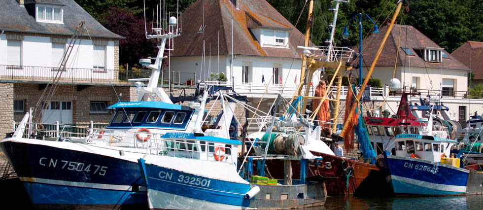 Des chalutiers à Port-en-Bessin, en France.
