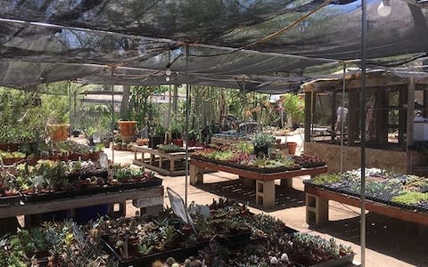 The shop, where plants propagated on-site are sold