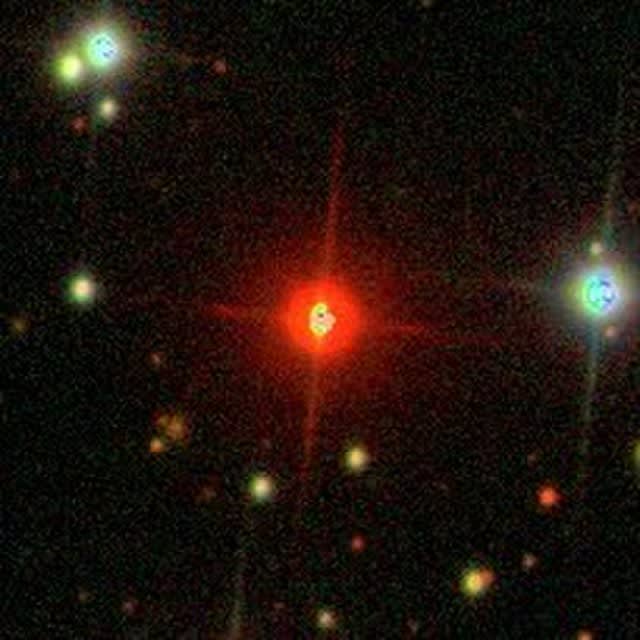 <div class="inline-image__caption"><p>Wolf 1069 as seen by the Sloan Digital Sky Survey. </p></div> <div class="inline-image__credit">Wikimedia Commons</div>