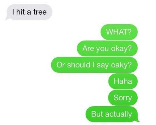 person who hit a tree and the other person asks if they are oaky