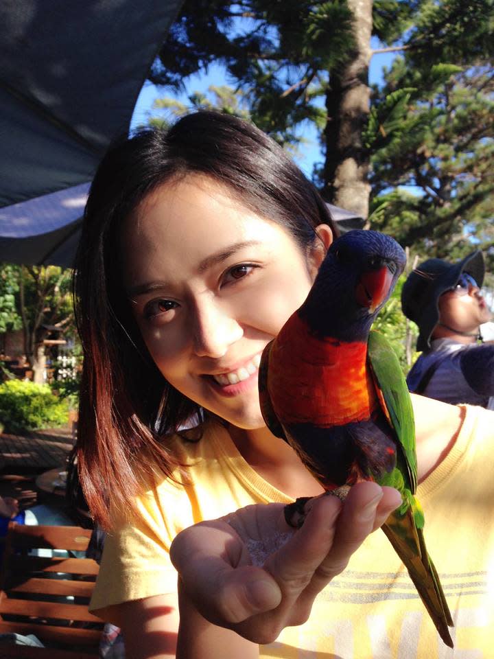 澳洲布里斯本愛吃白砂糖的Rainbow Lorikeet（澳洲鸚鵡）。圖／林莉婷提供