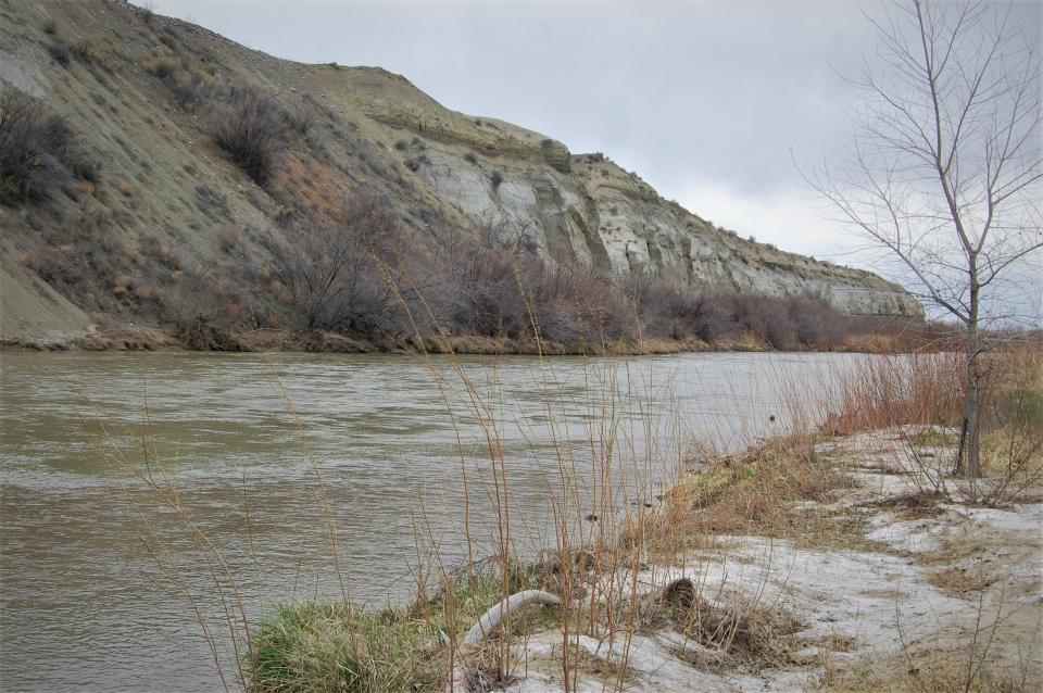 A robust runoff season is projected this spring for the San Juan and Animas rivers in San Juan County.
