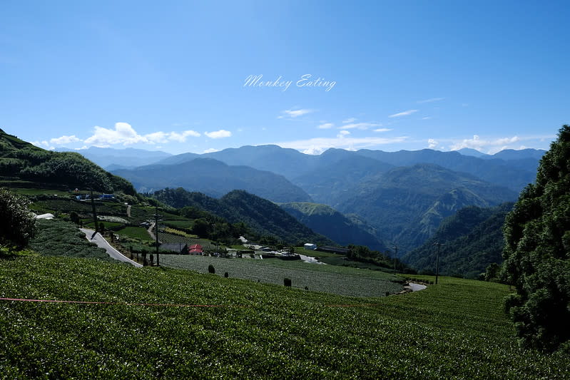 嘉義阿里山｜二延平步道