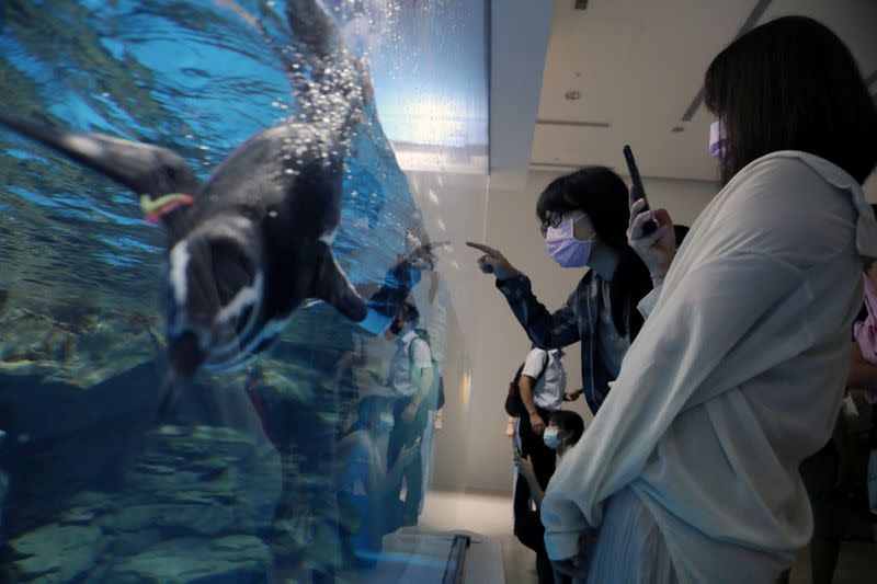 Visitors tour the Xpark Aquarium on its opening day while wearing protective masks to prevent the spread of the coronavirus disease (COVID-19) in Taoyuan