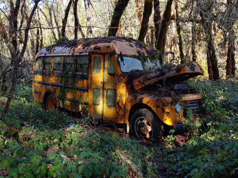 The bus had been abandoned in the woods for a quarter of a century (Collect/PA Real Life)