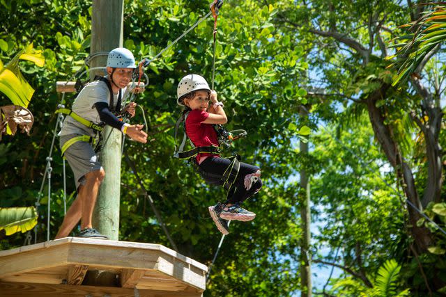 <p>Courtesy of Treetop Trekking Miami</p>