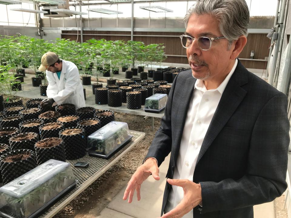 Ultra Health president and chief executive officer Duke Rodriguez is seen at the company's greenhouse in Bernalillo, N.M. on Thursday, April 19, 2018.
