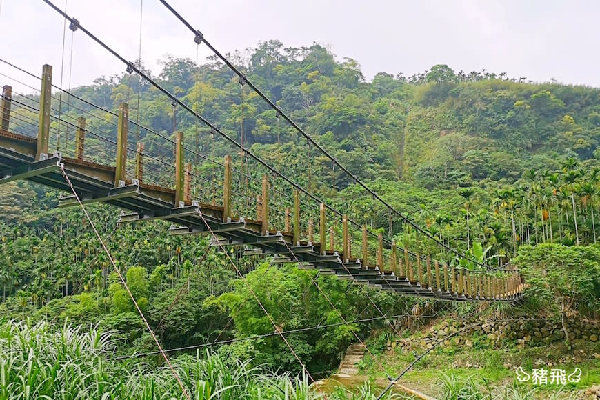 雲林古坑｜華山園區小天梯＆情人橋