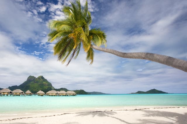 French Polynesia holiday demand rises by a third thanks to Pippa Middleton's honeymoon