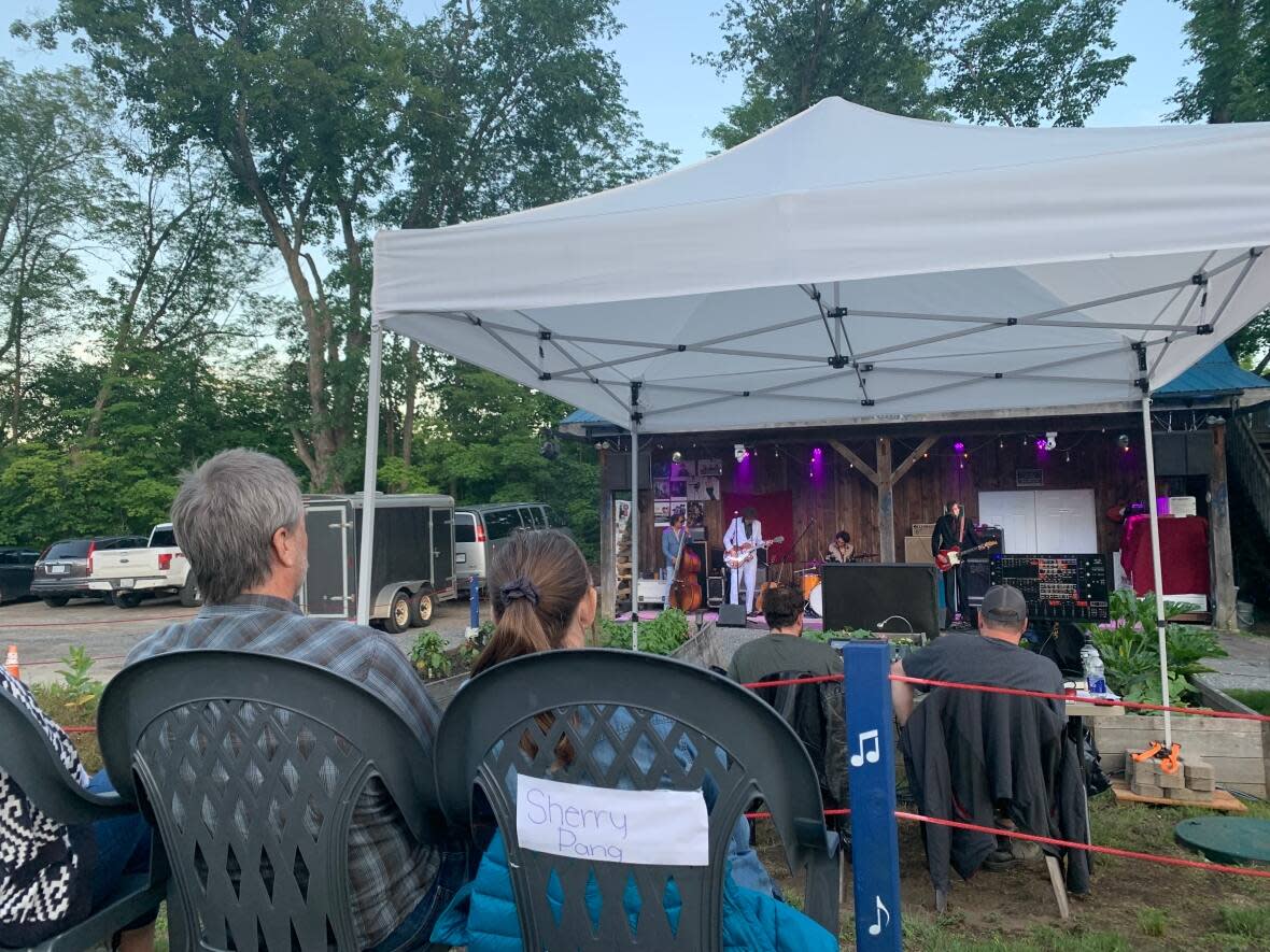 People watch Toronto band The Sadies play an outdoor concert at the Neat Coffee Shop in Burnstown, Ont., this summer. Many small-to-mid-sized music venues that survived pandemic lockdowns are facing a new challenge: exorbitantly high insurance rates. (Joseph Tunney/CBC - image credit)