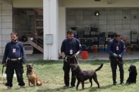 <p>Aunque no está claro a quién pertenecían, muchos de ellos fueron encontrados en la sección del aeropuerto que fue usada por las tropas estadounidenses y varios tienen habilidades en la detección de explosivos. (Photo by KARIM SAHIB/AFP via Getty Images)</p> 