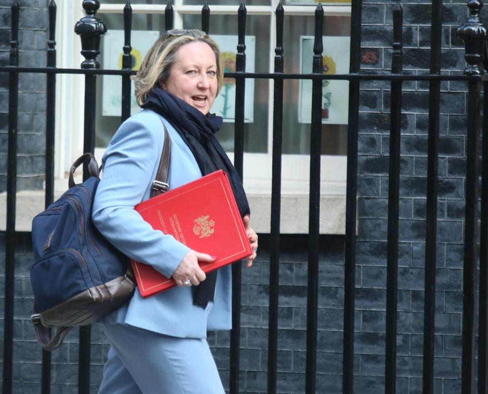 International Trade Secretary Anne-Marie Trevelyan defended Ms Gray as ‘clear-headed’ and ‘independent-minded’ (James Manning/PA) (PA Wire)