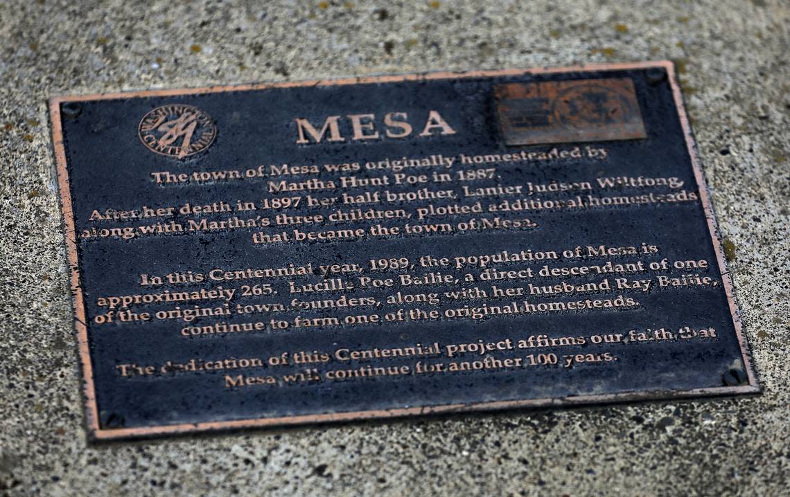 Mesa is a small agriculturally driven community of about 490 people about half an hour north of Pasco in Franklin County. The town was incorporated in 1955, just a few years after the Columbia Basin Irrigation Project brought water to the area for farming. A marker installed during the state’s centennial in 1989 gives a brief historical look into the town.