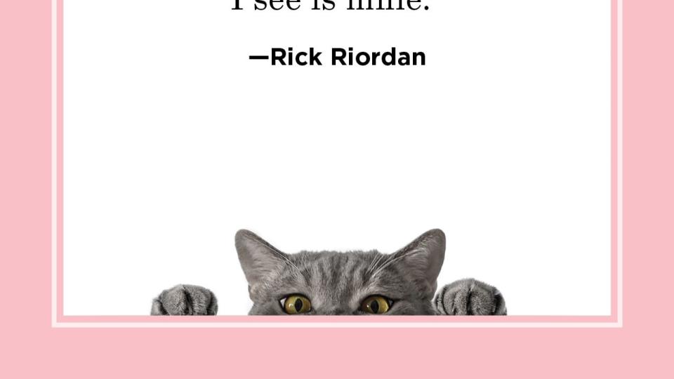 cat quote by rick riordan